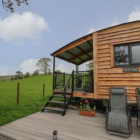 Wild Acre Villa Llangadog Dış mekan fotoğraf