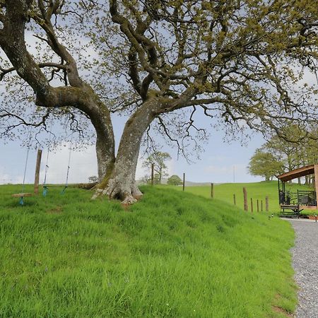 Wild Acre Villa Llangadog Dış mekan fotoğraf