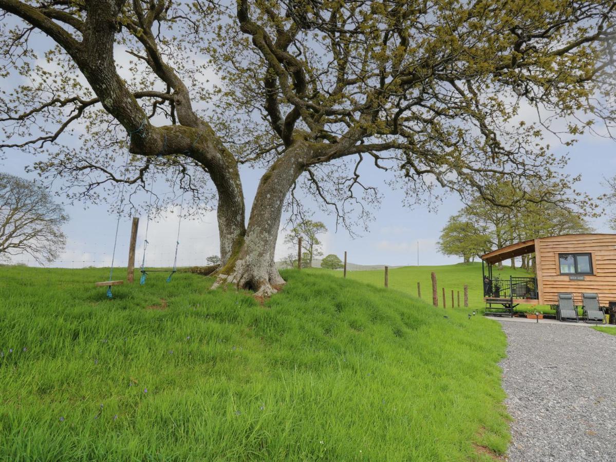 Wild Acre Villa Llangadog Dış mekan fotoğraf
