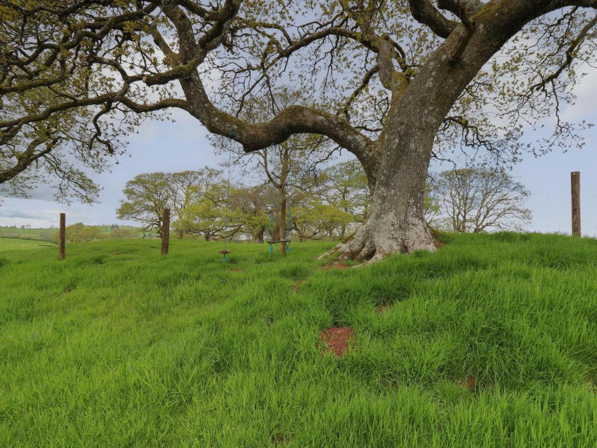 Wild Acre Villa Llangadog Dış mekan fotoğraf